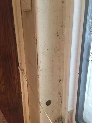 All Cleaning Services