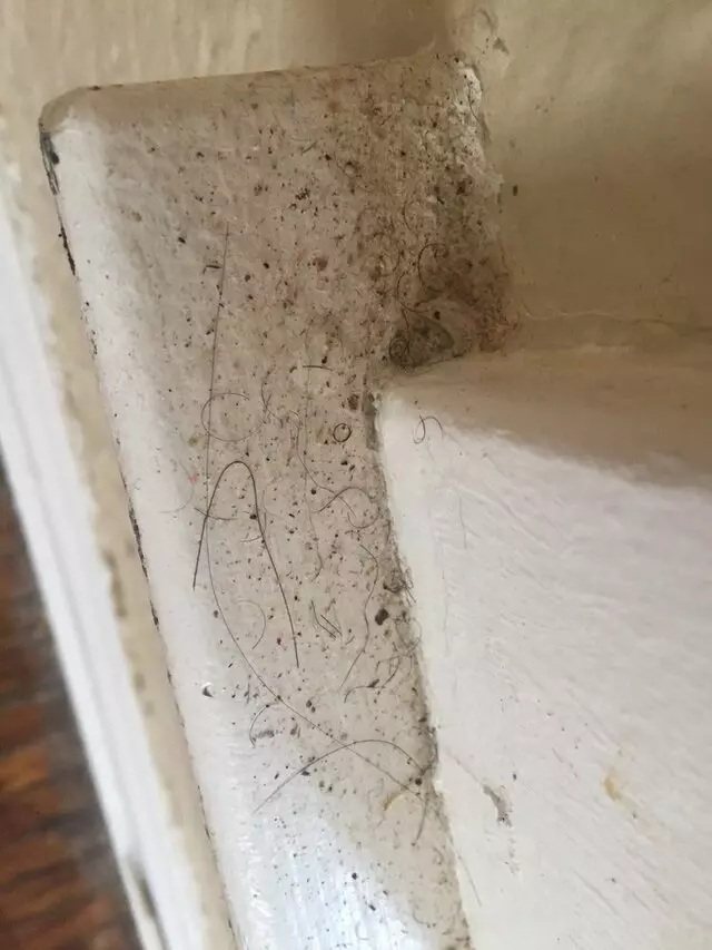 All Cleaning Services