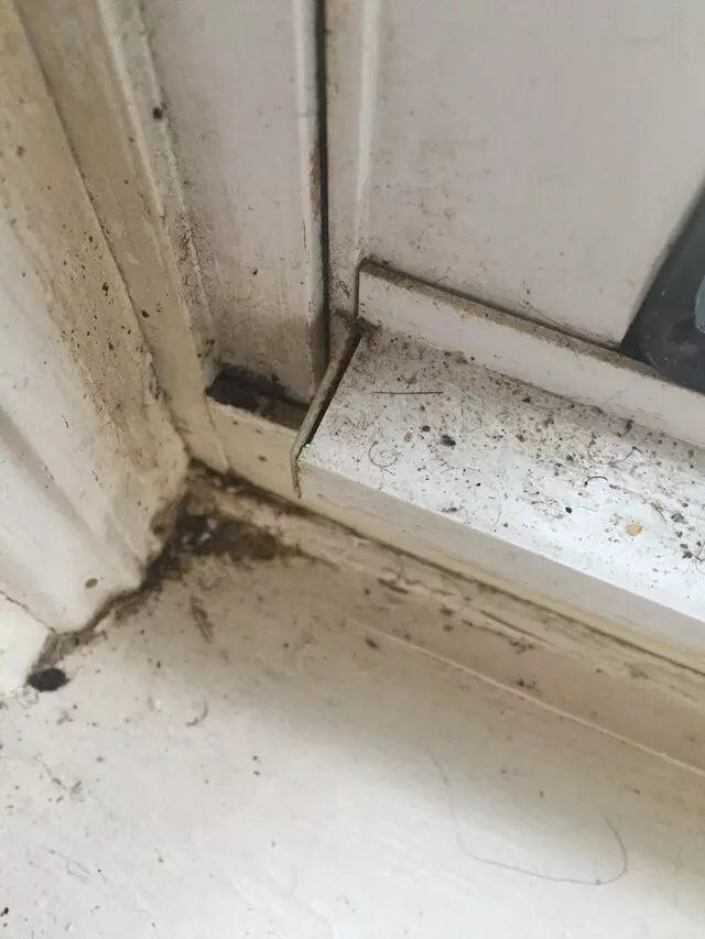 All Cleaning Services