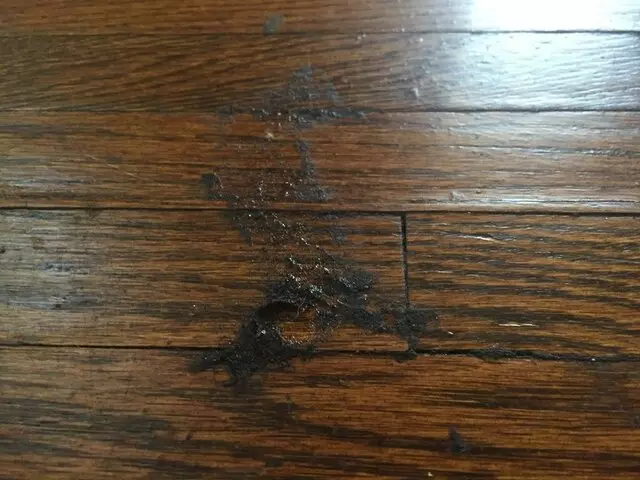 All Cleaning Services