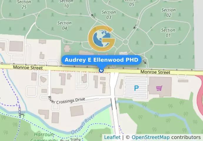 Audrey E Ellenwood PHD