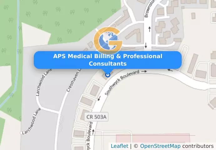 APS Medical Billing & Professional Consultants