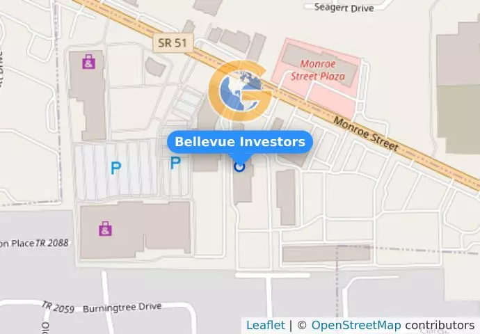 Bellevue Investors