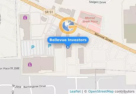 Bellevue Investors