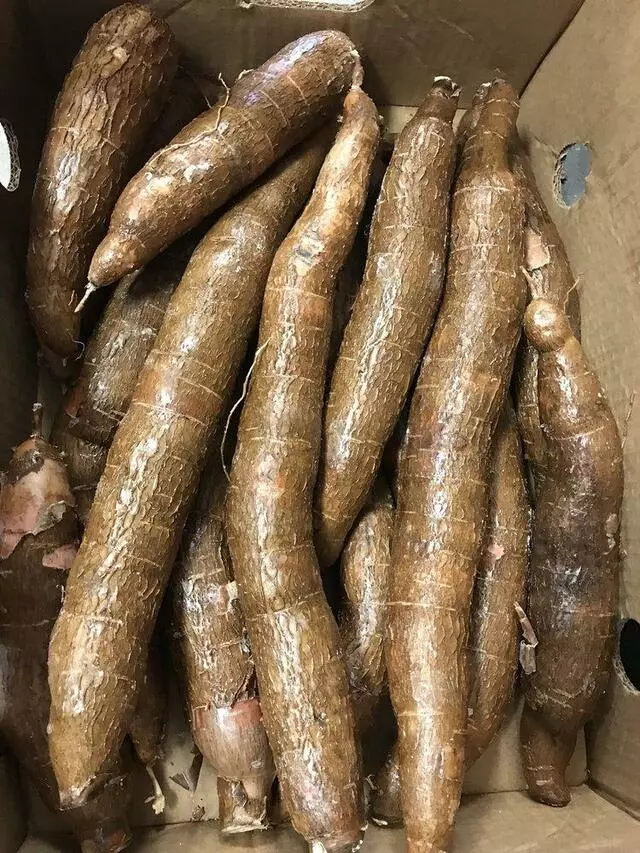 Asian Grocery