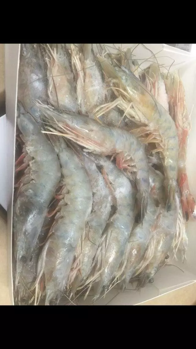 Asian Grocery