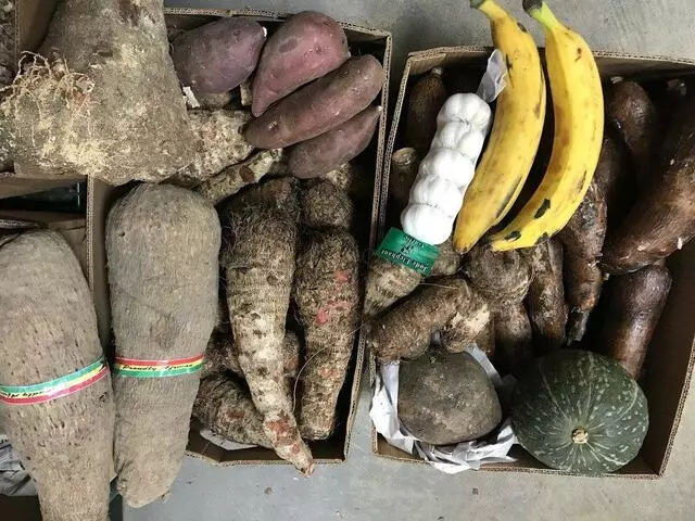 Asian Grocery