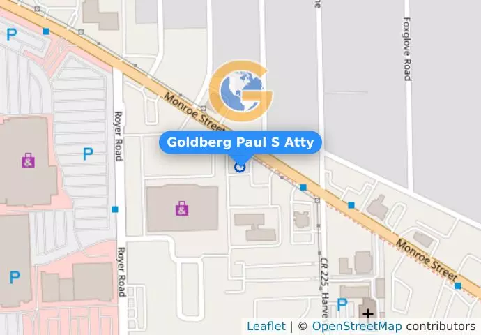 Goldberg Paul S Atty