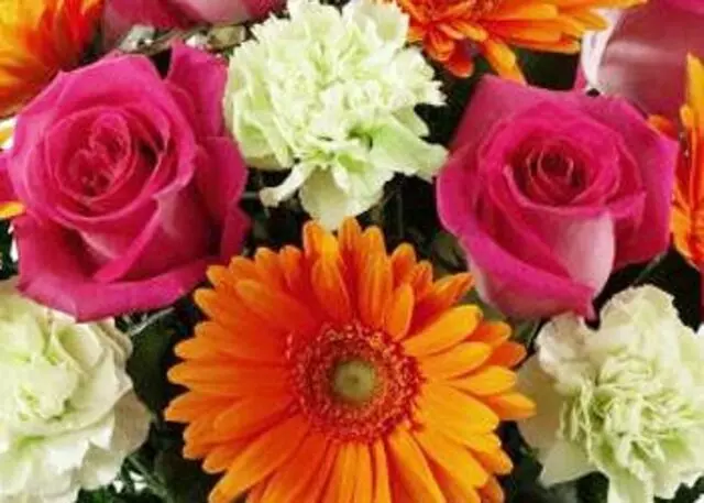 Amour Rose Flowers