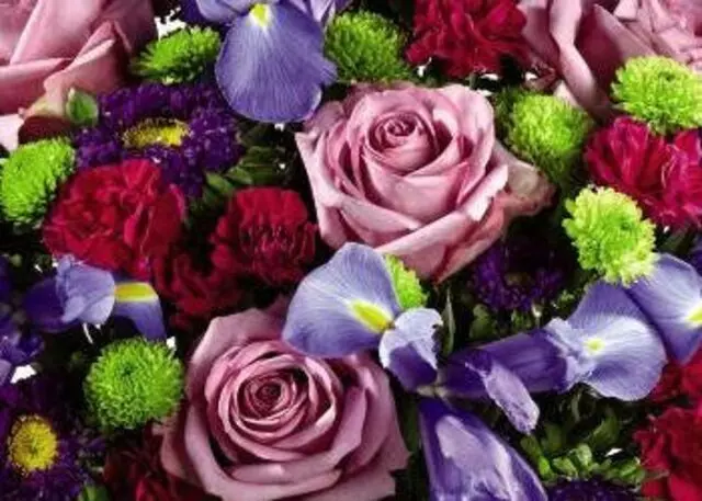 Amour Rose Flowers