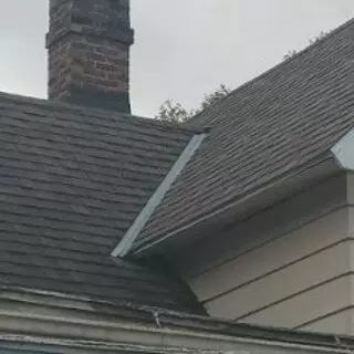 Toledo Bat Removal and Wildlife Control