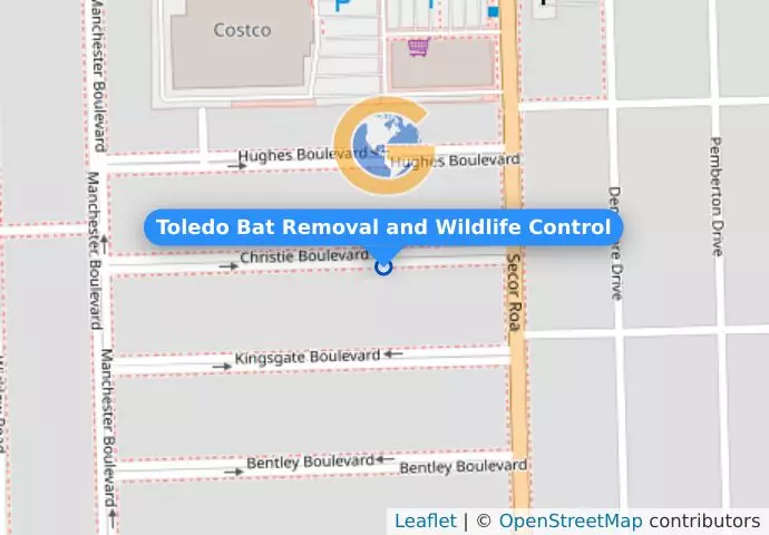 Toledo Bat Removal and Wildlife Control