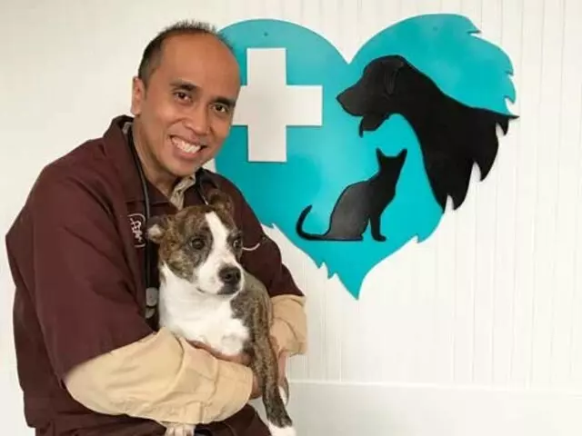 Airport Animal Hospital