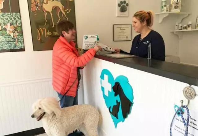 Airport Animal Hospital