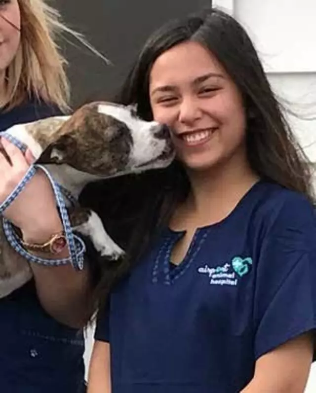 Airport Animal Hospital