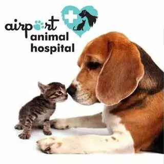 Airport Animal Hospital