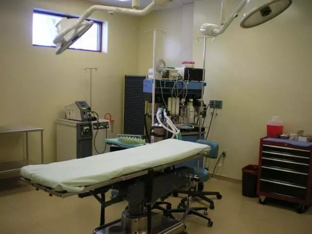 Artisan Cosmetic Surgery