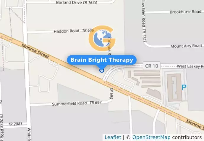 Brain Bright Therapy