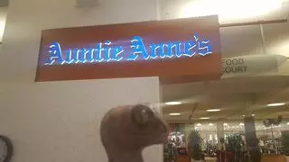Auntie Ann's