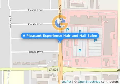 A Pleasant Experience Hair and Nail Salon