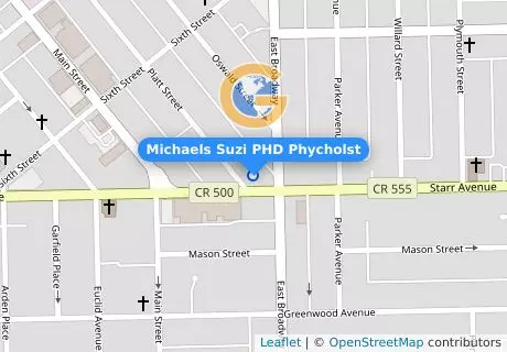 Michaels Suzi PHD Phycholst